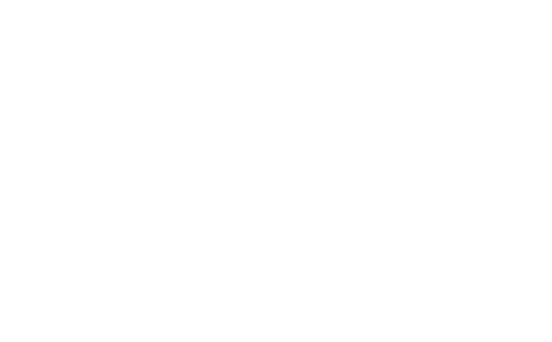Berir